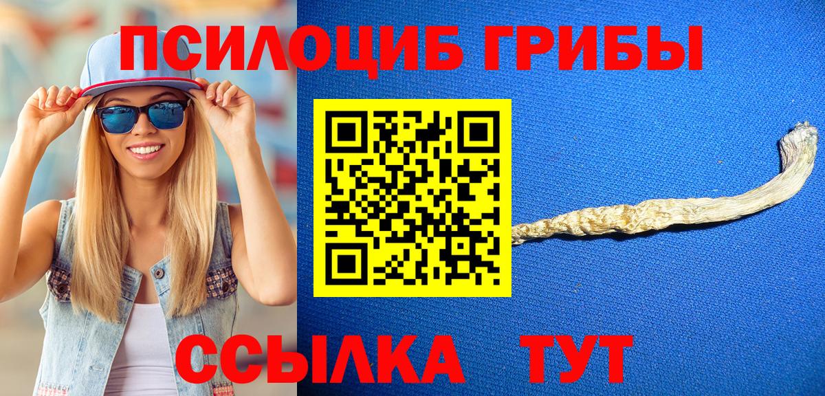 Псилоцибиновые грибы мухоморы Елец